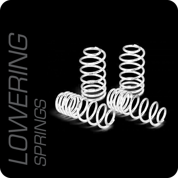 Lowering Springs