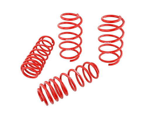 Skunk2 07-12 Honda Civic Type-R (FN2) Lowering Springs (Set of 4)